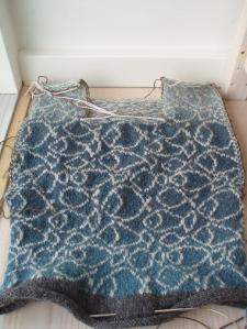 survived-the-first-steek