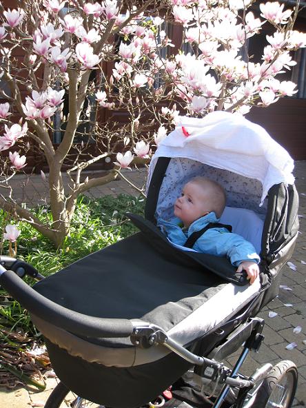 my own springtime philosopher my own springtime philosopher