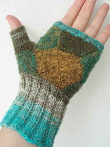 Hexaglove palm Hexaglove palm